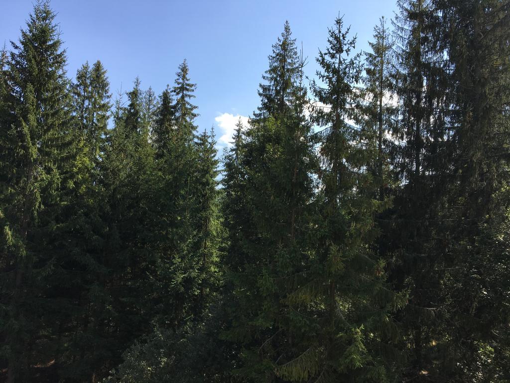 Apartmenty Patris Tatranska Strba Exteriör bild