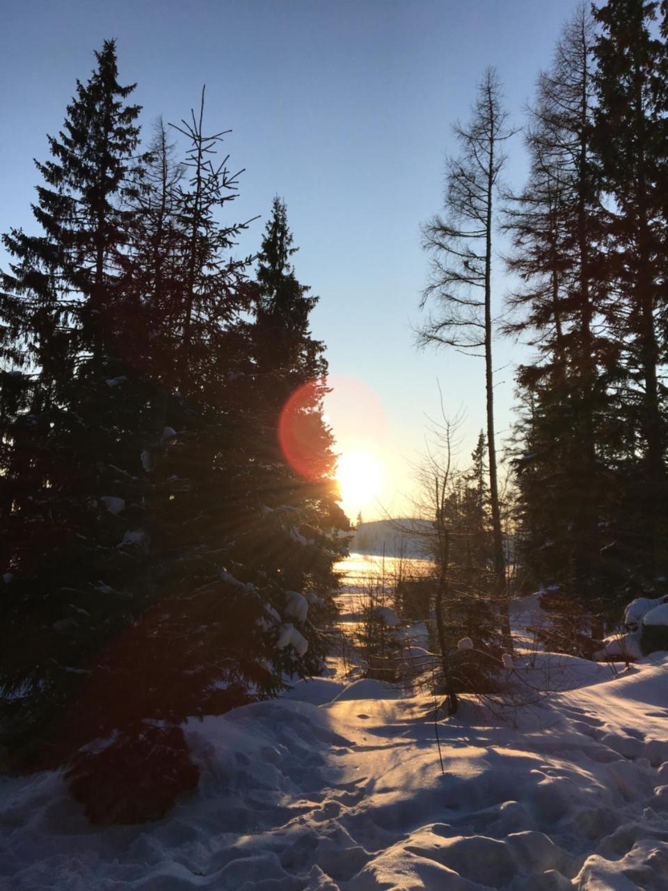 Apartmenty Patris Tatranska Strba Exteriör bild